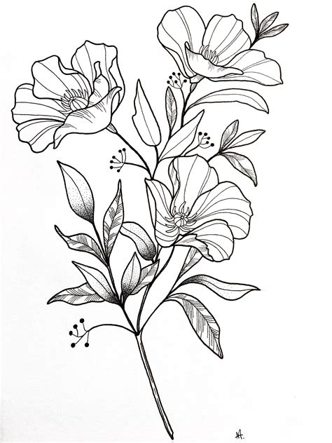 black and white flower drawing|flower diagram black and white.